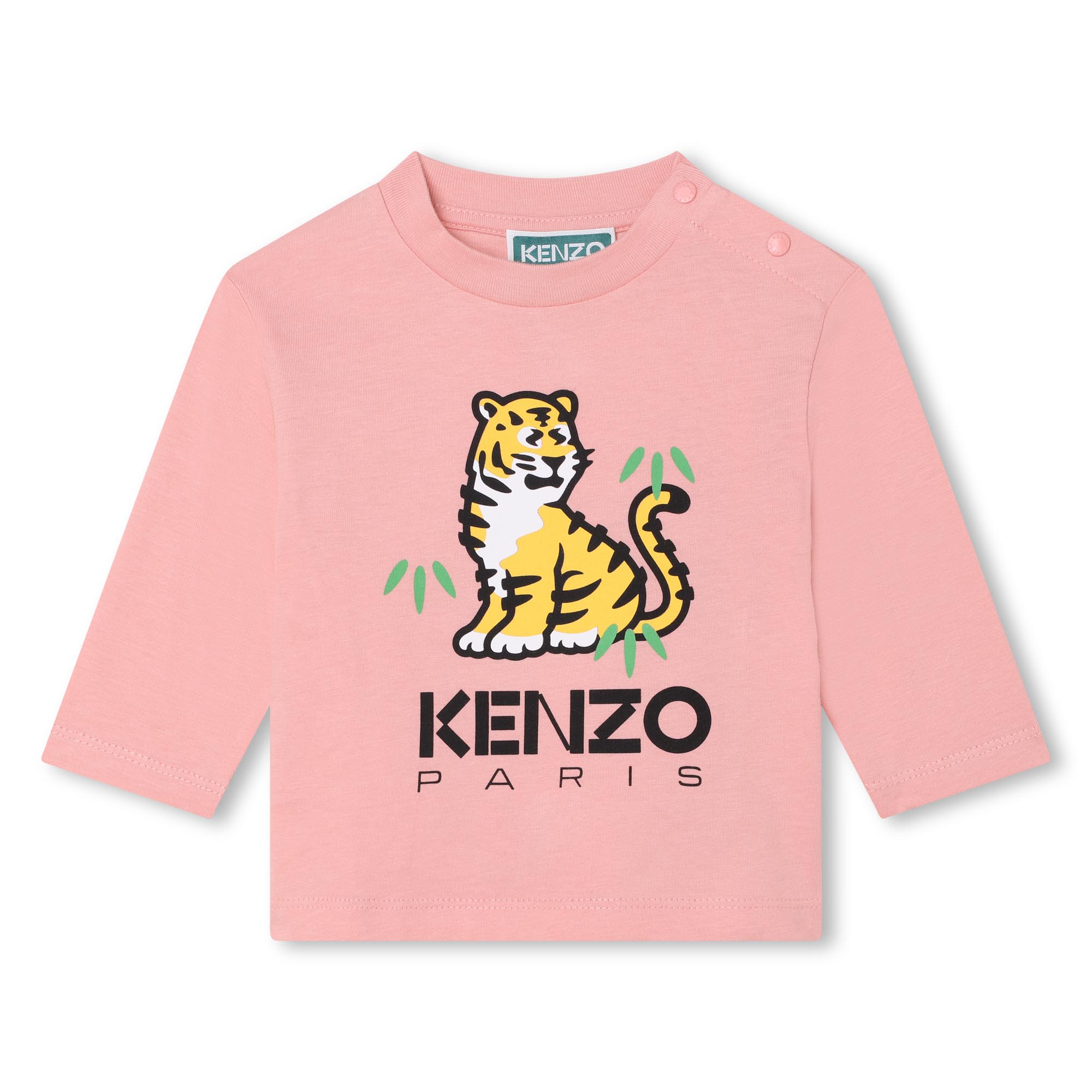 K05512